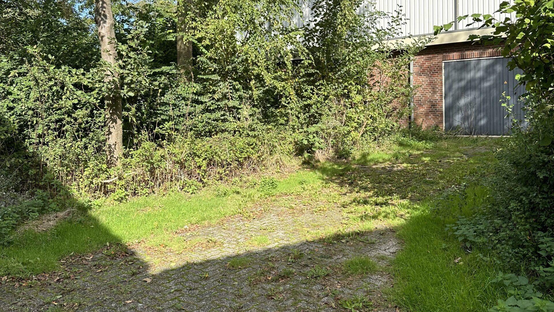 Hollands Kroon investeert miljoenen in schonere en groenere woonomgeving