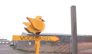 Vogelopvang De Paddestoel heeft eindelijk een tijdelijke plek (Video)