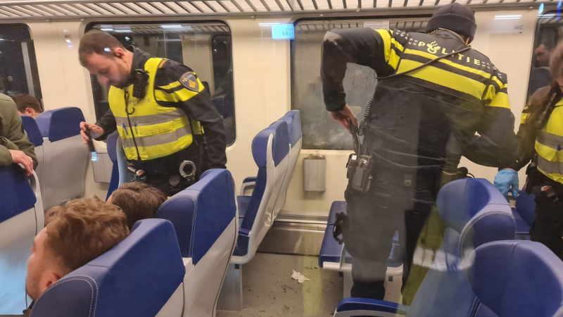 Cobra afgestoken in trein