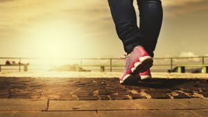 Noordkop Atletiek organiseert Trailrun