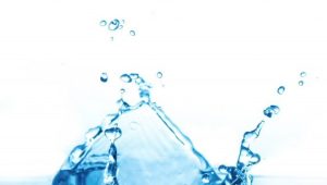 Hoogheemraadschap investeert in zoetwater
