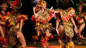 Dansfestival brengt wereld naar Schagen