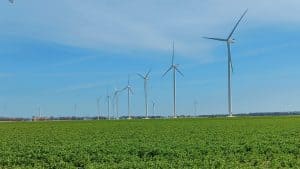 Elf projecten ontvangen cheque Windfonds Windpark Wieringermeer
