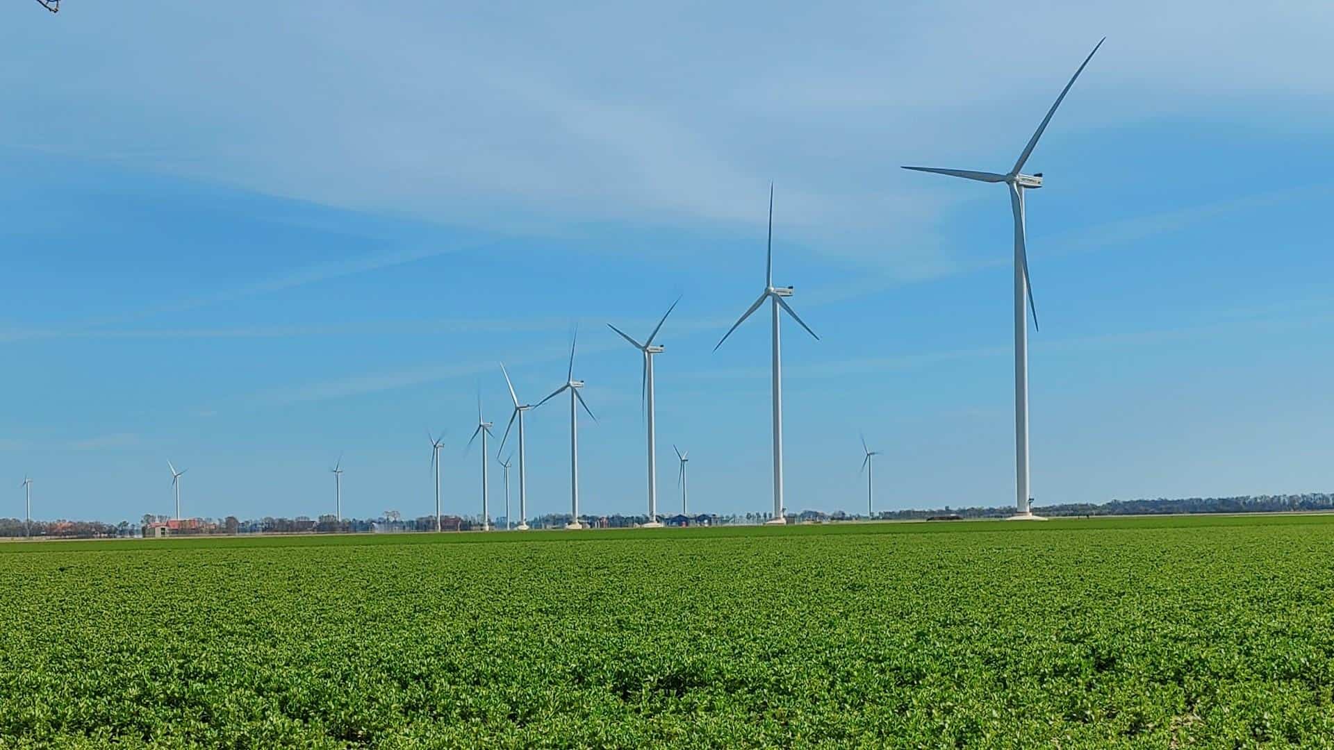 Elf projecten ontvangen cheque Windfonds Windpark Wieringermeer