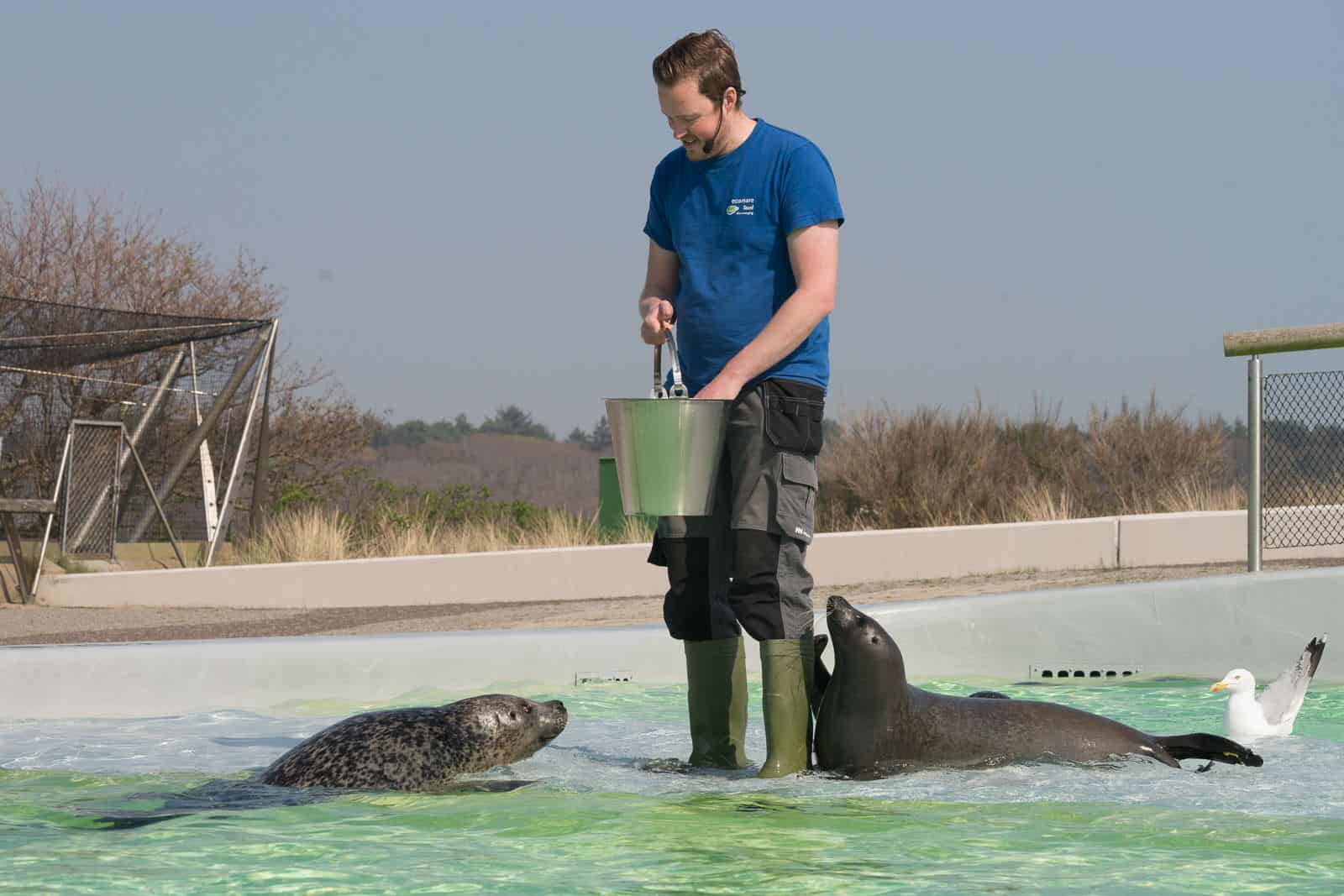 Stichting Texels Museum kijkt tevreden terug op 2022