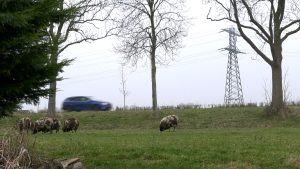 Zijdewind in verzet tegen komst zendmast (video)