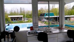 Video: Opening zwembad ‘De Rijd’ zonder water