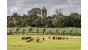 Winnaars bekend fotowedstrijd Ode aan het landschap