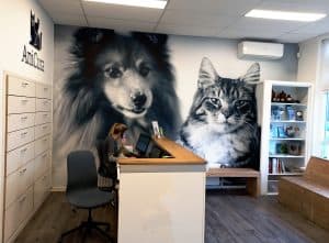 Nieuwe naam voor Dierenkliniek Pasteurstraat