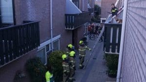 Grote problemen met honden in woning Koggeschip