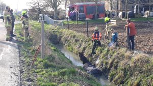 Paard met kraan uit moddersloot gered