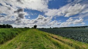 Raad Hollands Kroon stemt in met Koersdocument Agrarische Sector