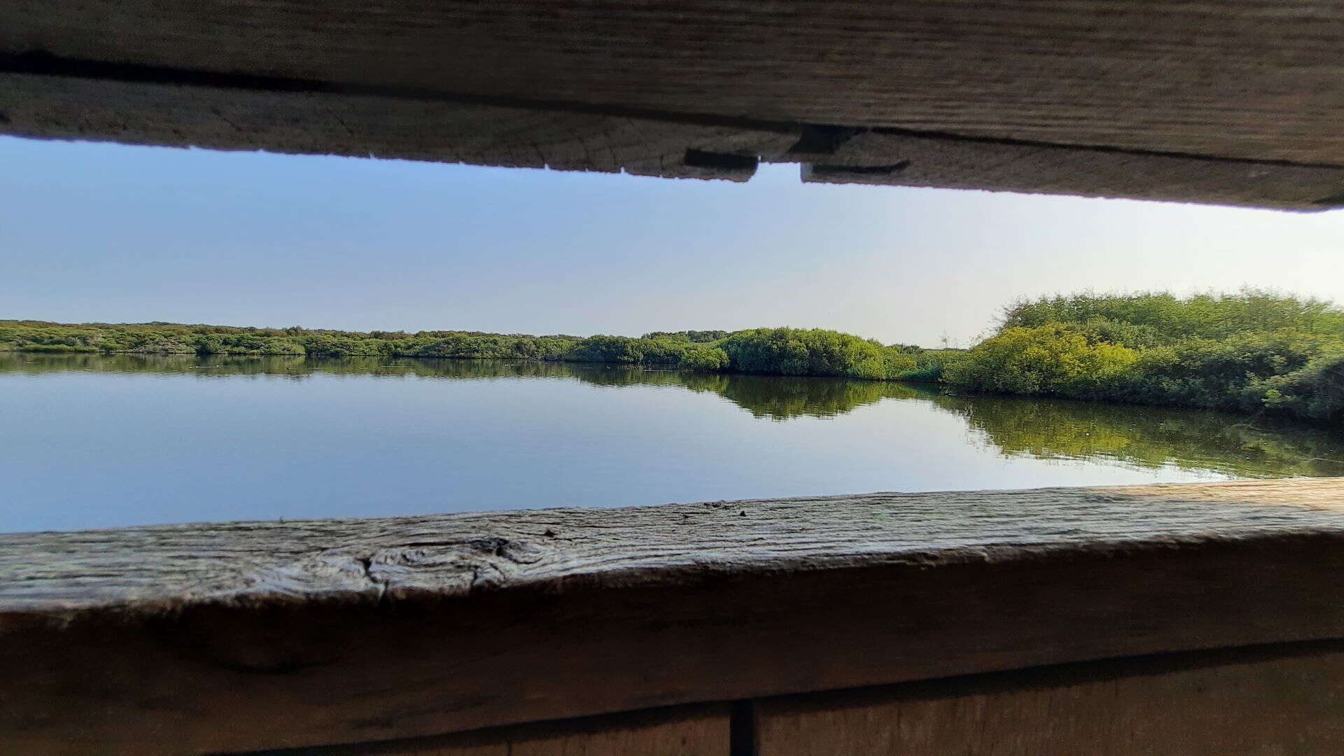 Aan de wandel in de Noordkop: Het Zwanenwater