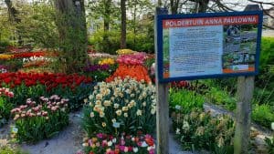 Aan de wandel in de Noordkop: Poldertuin en Kruiszwin in Anna Paulowna
