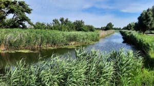 Aan de wandel in de Noordkop: rondje Julianadorp, de Ooghduyneroute