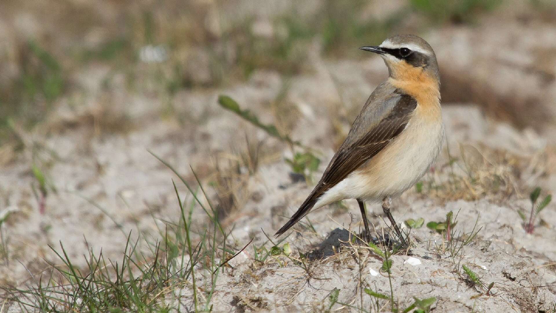 Zwerftocht door Botgat