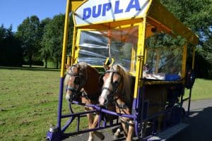 Dupla laat al 25 jaar mensen met beperking paardrijden (video)