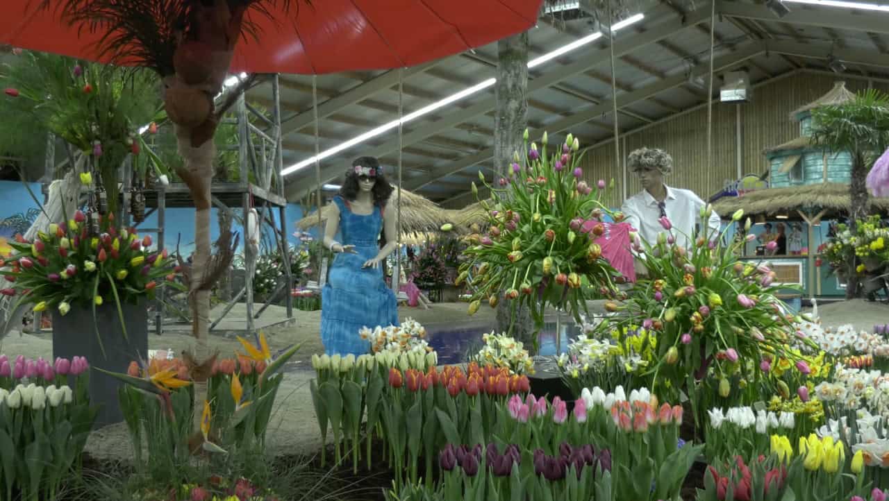40e Lentetuin Breezand officieel geopend (video)