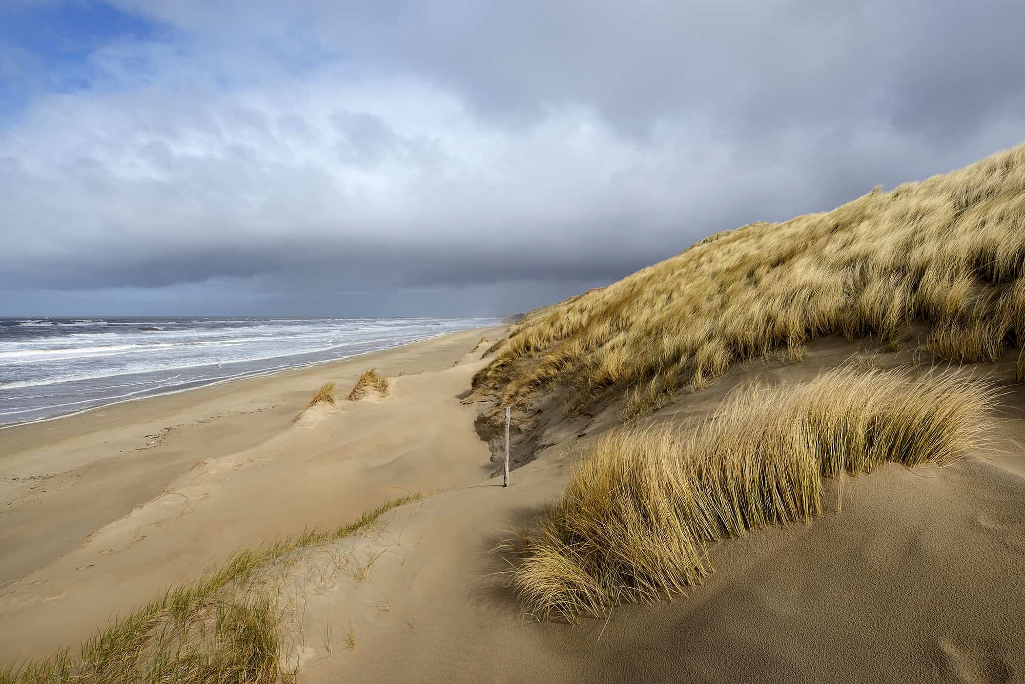 Trainees gezocht voor Het Groene Strand 