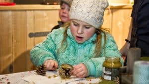 Winterdag in de Helderse Vallei
