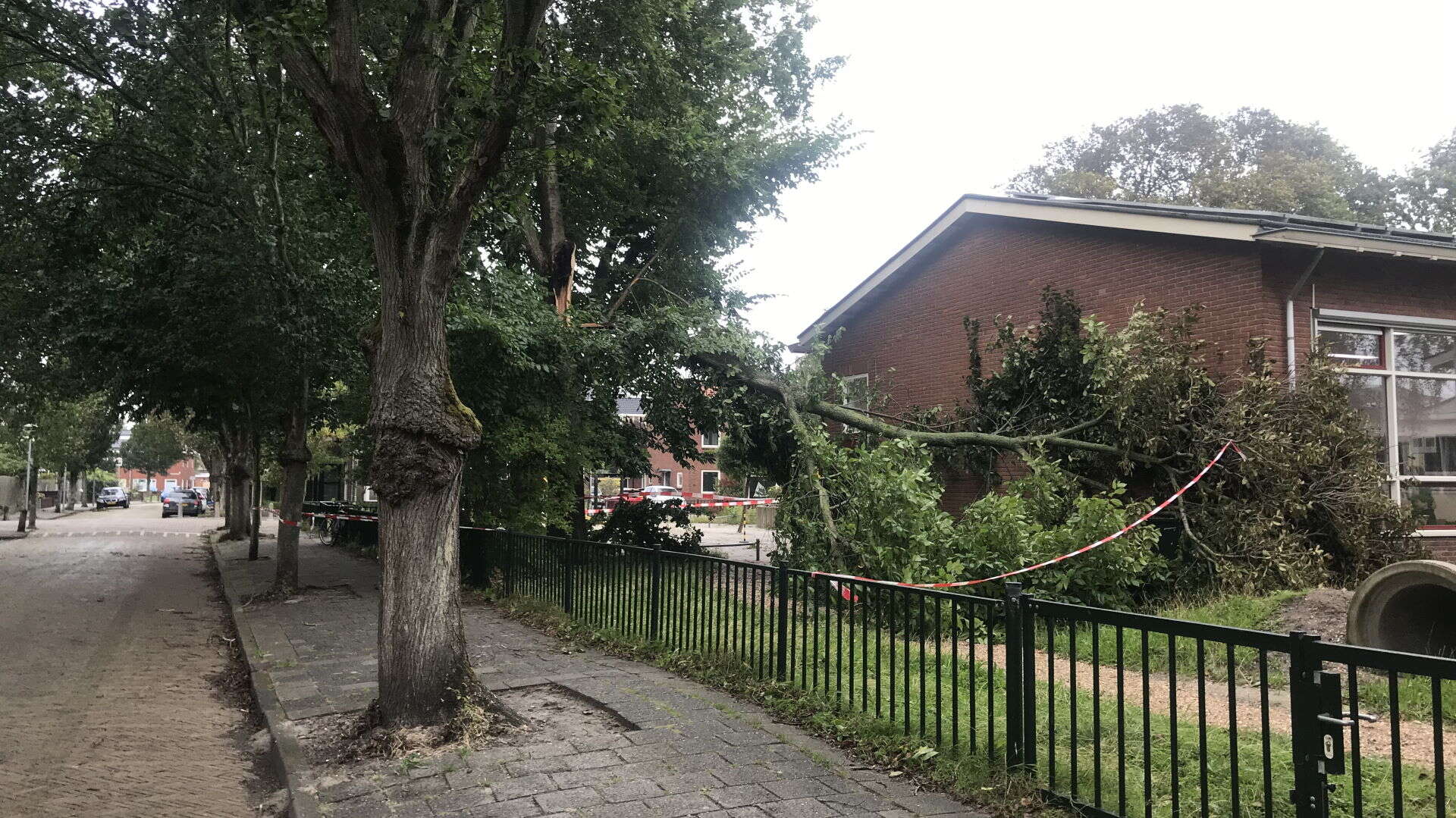 Schoolplein afgezet voor afgewaaide tak (video)
