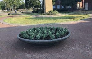 Anjerperkjes ter ere van Helderse veteranen (update)