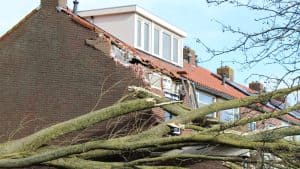 Woning zwaar beschadigd door omgewaaide boom in Den Helder