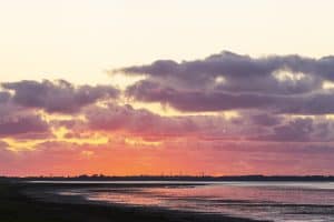 Op zoek naar roofvogels langs het wad