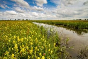 Nieuwe omgevingsverordening beschermt 32 bijzondere landschappen