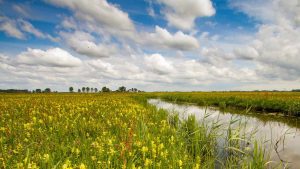 Landschap Noord-Holland zet in op 1 miljoen vierkante meter extra natuur