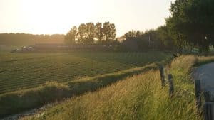 Raad akkoord met arbeidsmigranten aan Westerweg Nieuwe Niedorp