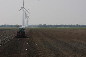 Hollands Kroon: gunstig gebied voor innovatieve agrarische sector