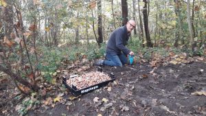 Het wordt steeds mooier in het Kooibos