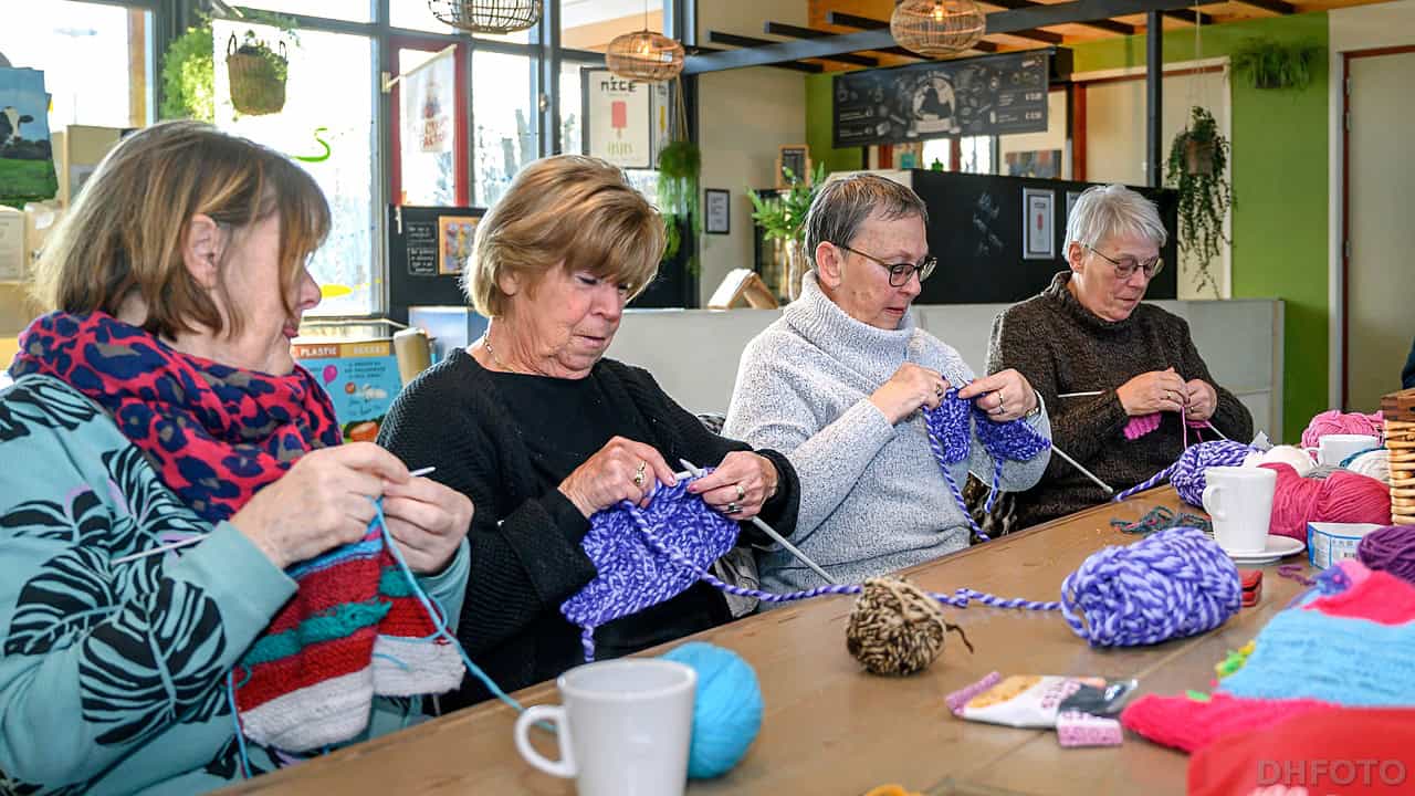 Warme truiendag bij de Helderse Vallei