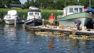 Alle eendjes zwemmen in het water