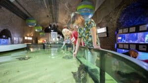 Voorlezen met Murphy de Meeuw en haaien voeren in Fort Kijkduin