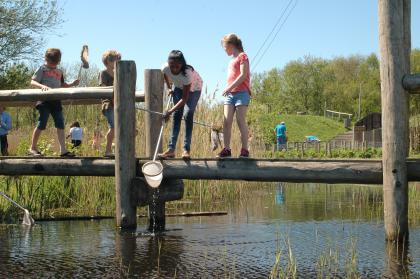 Slootbeestjes ontdekken bij De Helderse Vallei