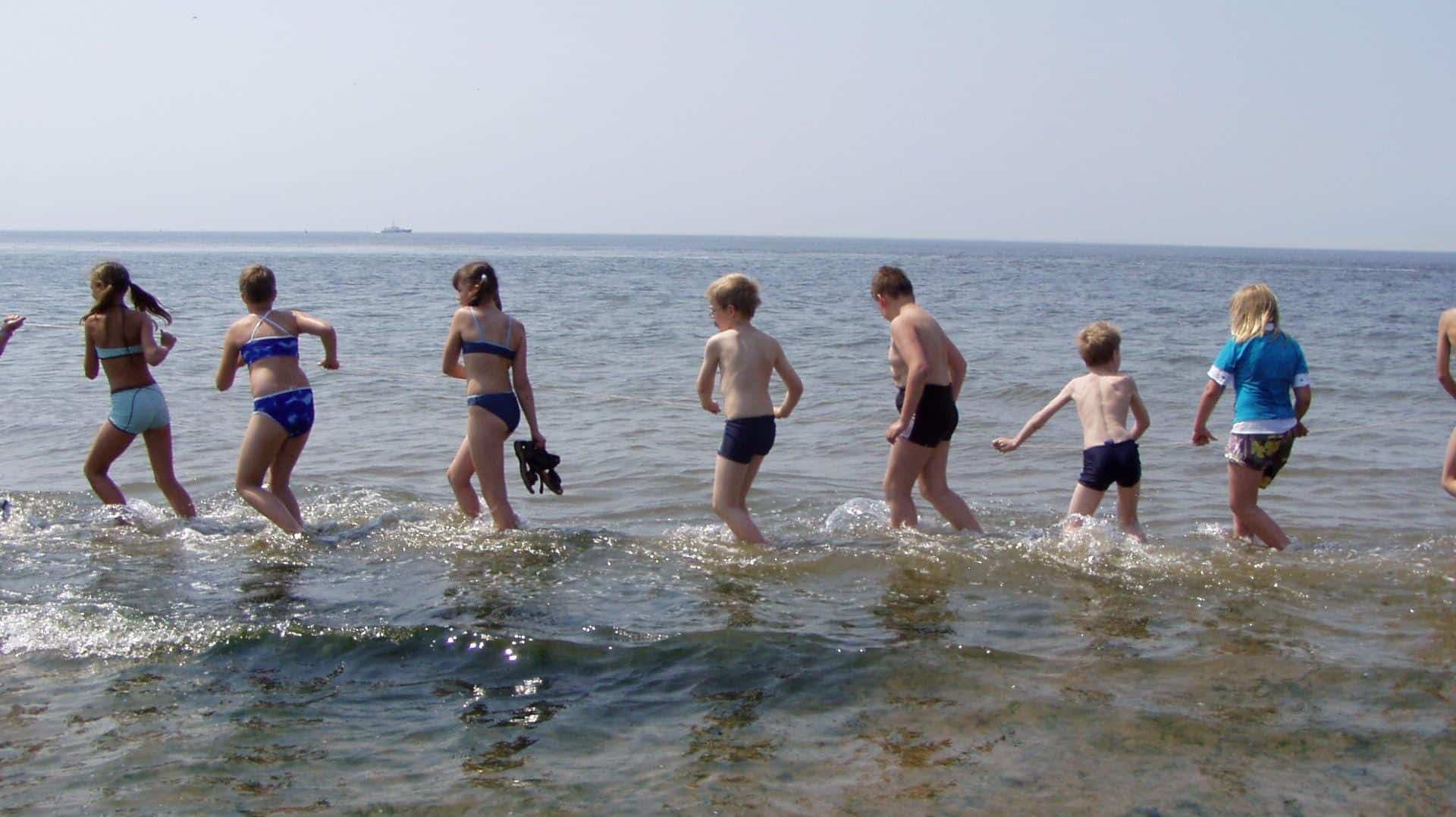 Beleef de Waddenzee bij Fort Kijkduin tijdens Dag van het Wad