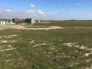 Dit jaar geen meierblis op Texel