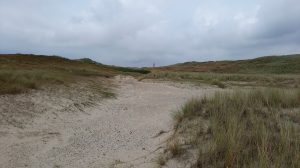Werkzaamheden geven Botgat en Noordduinen impuls
