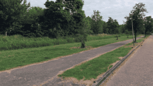 Onderhoud paden in Hollands Kroon