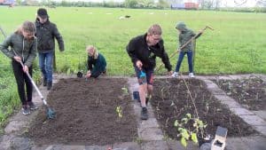 Kinderen verbouwen eigen groente (video)