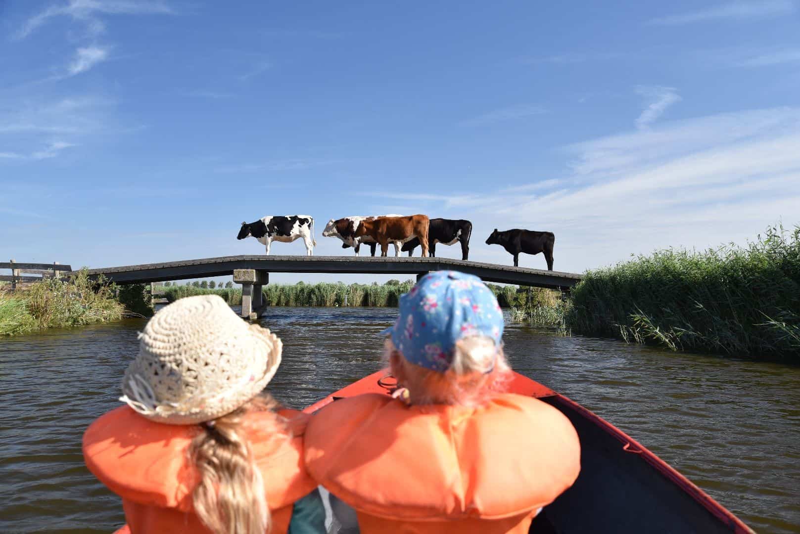 Fotowedstrijd: water, geniet ervan!