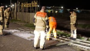 Helderse Vallei raakt deel omheining kwijt door storm