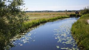 HHNK: geen dinoterb in oppervlaktewater