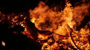 Waterscherm voorkomt overslaan brand naar dierentuin