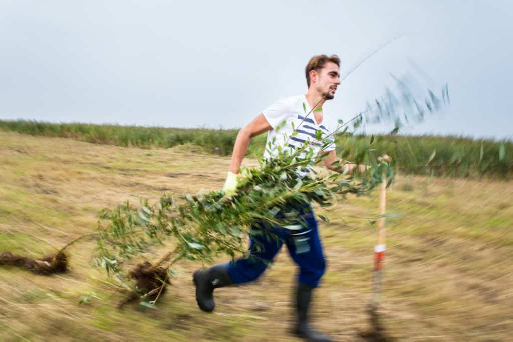 Landschap Noord-Holland zoekt groene trainees