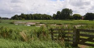 Vrijwilligers gezocht voor Natuurwerkdag in Anna Paulowna