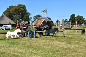 Menmarathon Wieringen wordt een feestje