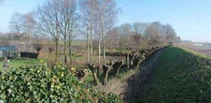 Toertocht door Midden-Kennemerland